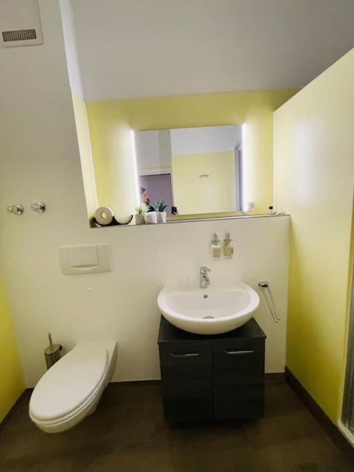 Fewo 20 - Appartement Im Rottalblick - Youngmodern Wohnen Mit Bademantelgang Zur Therme, Tv, Balkon Und Persoenlichem Gaesteempfang Von Astarte Estate Bad Griesbach im Rottal Esterno foto